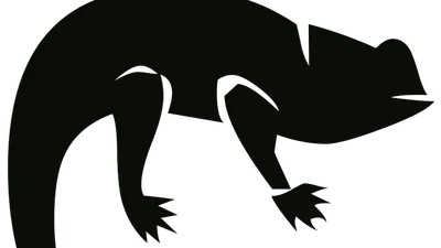 Chameleon featured image